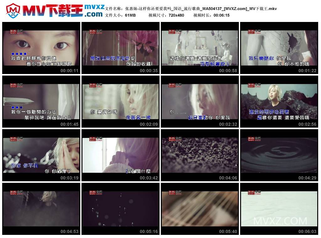 张惠妹-这样你还要爱我吗_国语_流行歌曲_MA504137
